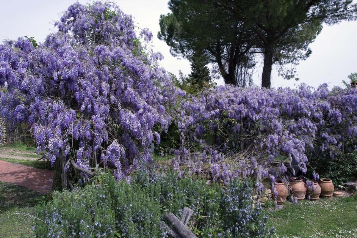 Molino In Chianti Vila Mercatale Val Di Pesa Exterior foto