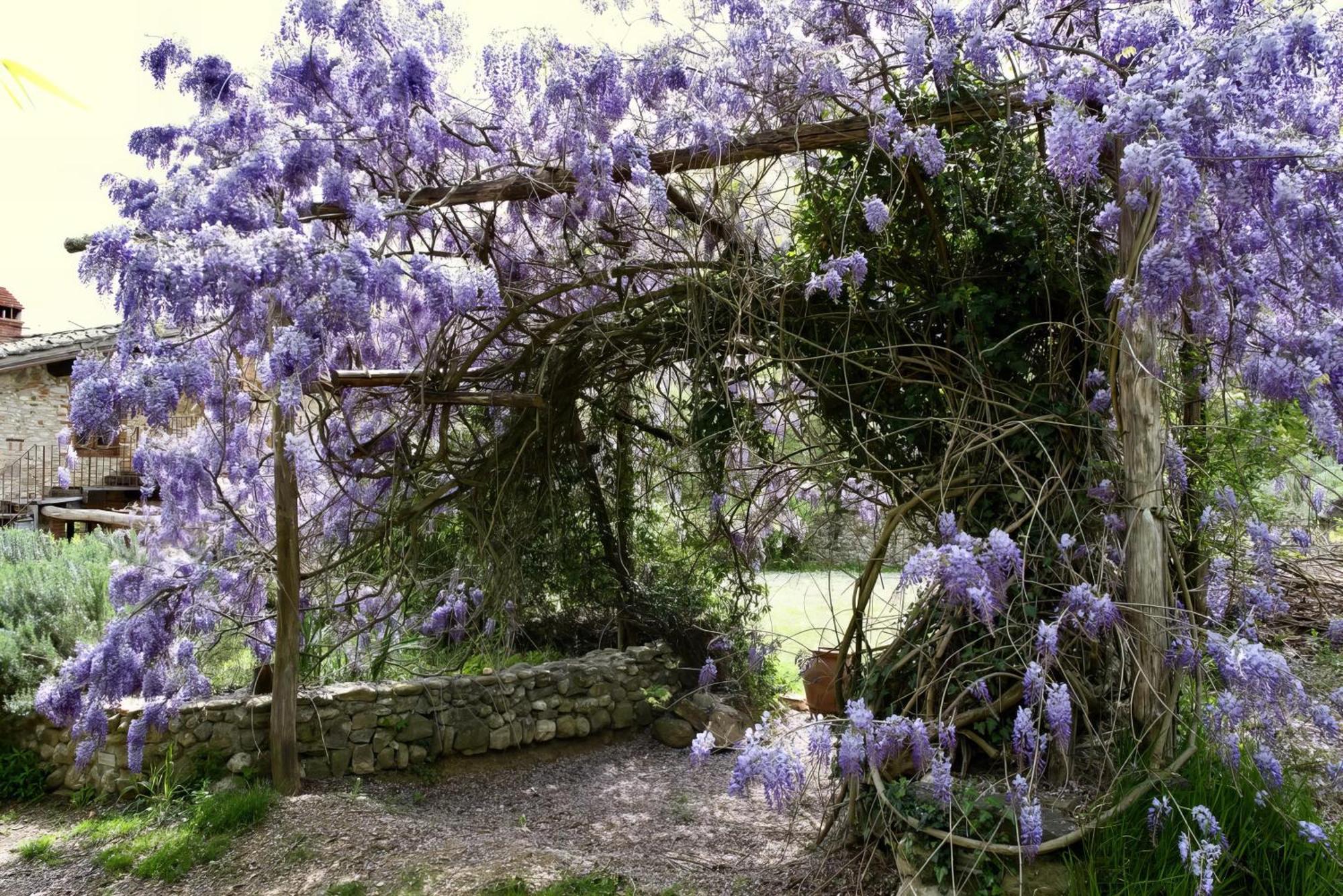 Molino In Chianti Vila Mercatale Val Di Pesa Exterior foto